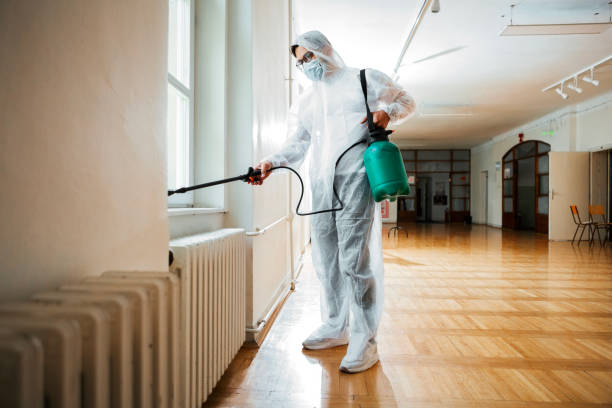Pest Control for Restaurants in Dunedin, FL